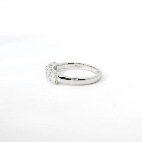 14K White Gold and Natural Oval Diamond Band