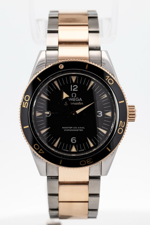 OMEGA SEAMASTER 300 MASTER CO-AXIAL 233.20.41.21.01.001 (41mm)