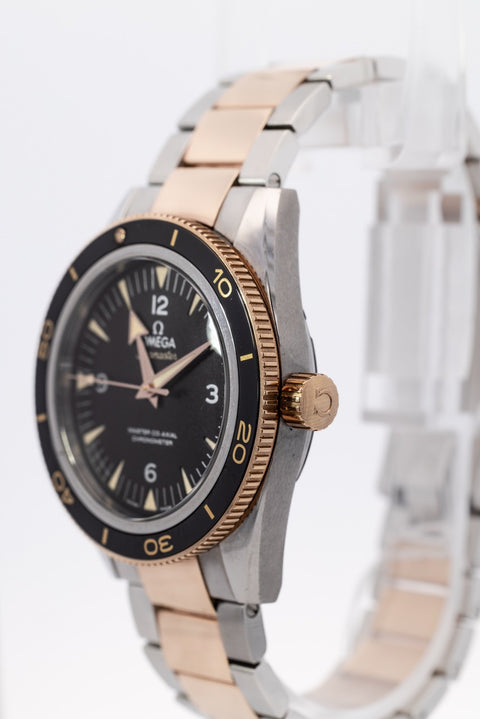 OMEGA SEAMASTER 300 MASTER CO-AXIAL 233.20.41.21.01.001 (41mm)