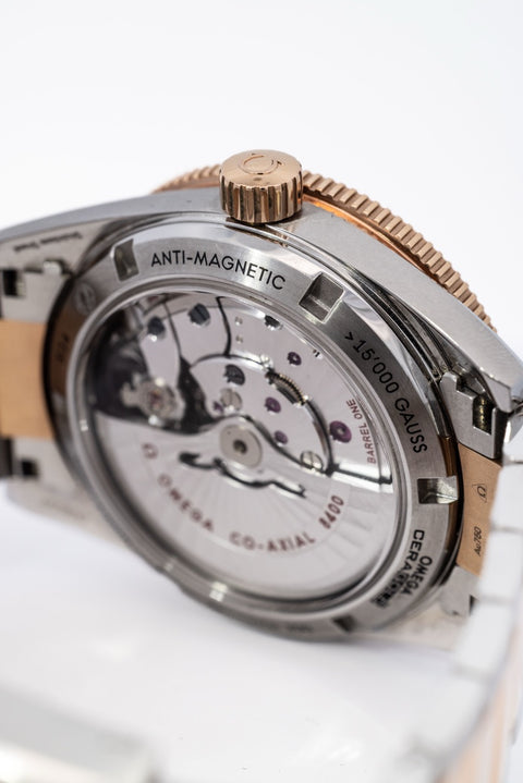OMEGA SEAMASTER 300 MASTER CO-AXIAL 233.20.41.21.01.001 (41mm)
