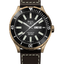 Ball Roadmaster Marvelight Bronze (42mm) DM3070B