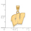 14k Yellow Gold University of Wisconsin Letter W Medium Pendant