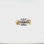 Aster Diamond Engagement Ring