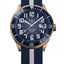 Ball Roadmaster StarLight Bronze DD3072B