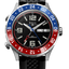 Ball Roadmaster Marine GMT Collection (All Colorways) DG3030B