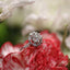 Custom Engagement Ring Examples - Chalmers Jewelers