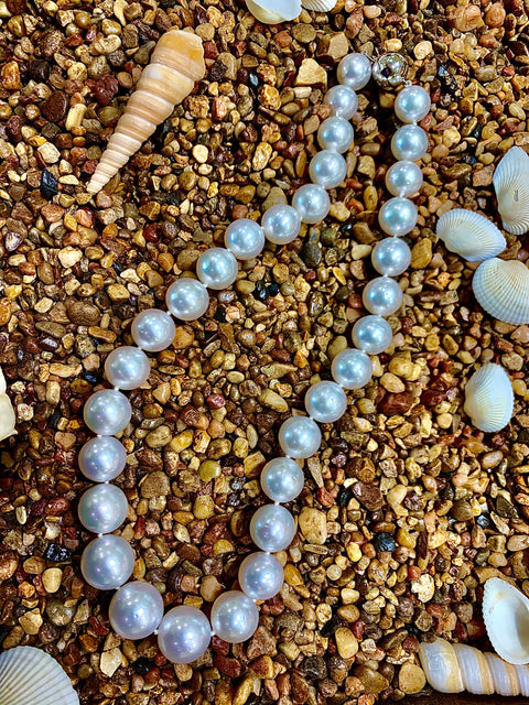 South Sea Pearl Necklace