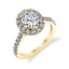Oval Engagement Ring With Halo S1199-OV - Chalmers Jewelers