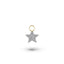 Diamond Star Charm